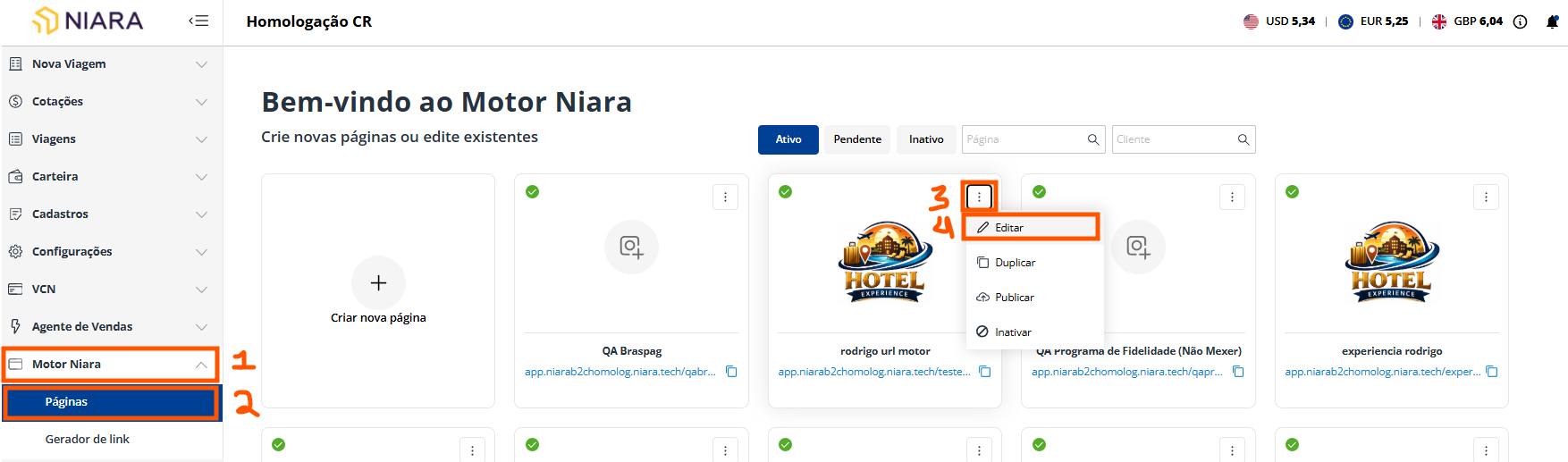 Tela da instalação, menu Motor Niara -> Páginas